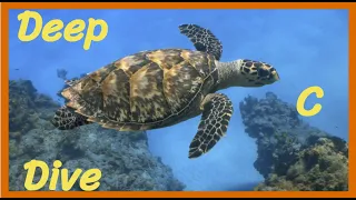 Implementing isprint and isgraph - Deep C Dive