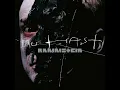Du hast (Single Version)