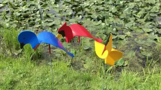 Florida Dancing Birds Bluebird Cardinal Goldfinch