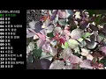 [려화노래모음]