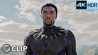 tchalla returns 