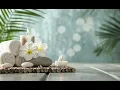 Discover the Best Massage Therapist in Albuquerque New Mexico