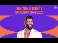 Download Lagu Playlist Sertanejo, Forró e Sofrência 2024/2025