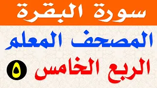                                                                    دندنها
