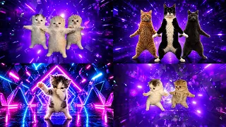 Kittens dancing to Bemax - Basin Boret / Pasing Goreng [AMV] ALL VERSIONS mix