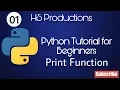 Python Print Function - chap