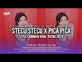 Download Lagu DJ STECU X PICA PICA LAMBADA VIRAL TIKTOK !!
