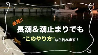 【堤防釣り】最も釣れないと言われる長潮＆潮止まりの時はこのやり方で釣れる！