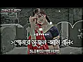 Download Lagu Sonre sujon ami boli je tore Slowed Reverb Lofi Song Download Lagu Sonre sujon ami boli je tore Slowed Reverb Lofi Song