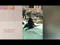 Belgrade zoo 🐢🐬🐆 BEO ZOO VRT 🐠🦓🦒 зоопарк Белграда