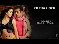 Lyrical: Mashallah Full Song with Lyrics | Ek Tha Tiger | Salman Khan | Katrina Kaif | Kausar Munir