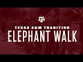ELEPHANT WALK Texas A M Tradition