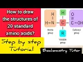 Draw the structure of 20 standard amino acids easily