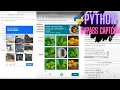 Python Bypass all CAPTCHA Finally