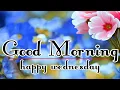Happy Hump Day Inspirational Quotes And Sayings For A Wonderful Wednesday Morning