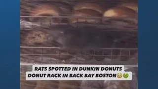 It s eating Dunkin restaurant in Boston closed after of rat goes viral