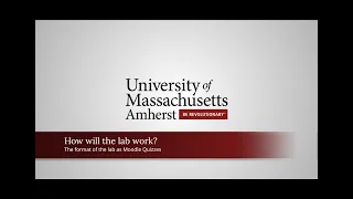Labs as Moodle Quizzes