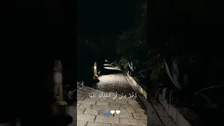 هذا ابي سندي وضهري في الحياة  احساس  اشتياق   فراق  بدون موسيقى  حب دندنها