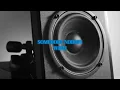 My Boy Arlo – Bump That Sh*t (Official Lyric Video)