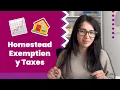 Homestead Exemption USA Ahorra en Impuestos - Guia 2024 Cuenta con Valeria