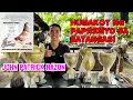 Download Lagu GIFT BIRD NA BREEDER UNANG ANAK CHAMPION AGAD!