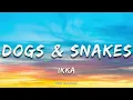Ikka - Dogs & Snakes (Lyrics)