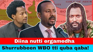 Dubbii Shurrubbeef Jaal Marroo 