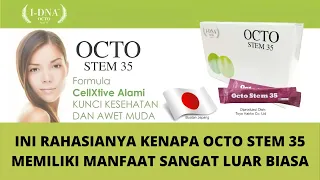 keistimewaan octo stem 35 firaxis 0813 5716 7055 0813 5716 7088