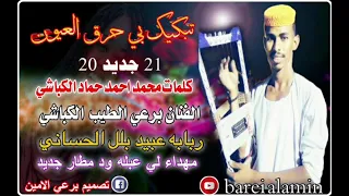 الفنان برعي الطيب الكباشي 