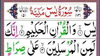 Ep91.Surah Yaseen Fast [Surah Yasin Recitation with HD Arabic Text] Panipatti Voice | سورۃ یس