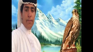 شيله لاتوادعني وتعلن برحيل دندنها