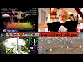 Download Lagu SETI found ET - Prof Simon