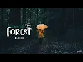 《Vietsub》 🎵 Voice of the Forest - MakTub