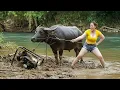 Download Lagu Repair, restore and maintain gasoline engines  Water pump repair  Flooded machinery ⧹ GENIUS GIRL 95