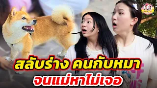 สลับร่าง...คนกับหมา จนแม่หาไม่เจอ I ตองติงโชว์