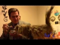 Official Furkids Kitty Kommercial