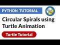Circular Spirals using Turtle Animation Turtle Python Tutorial PyPower