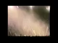 Bob Marley & The Wailers - The Smile Jamaica Concert 1976