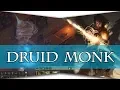 Pathfinder Kingmaker - Druid Duelist Monk