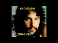 HQ  CAT STEVENS  -  PEACE TRAIN  BEST VERSION!  High Fidelity Audio HQ & LYRICS