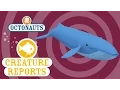 Download Lagu Octonauts: Creature Reports - Blue Whale
