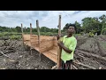 Download Lagu KEHIDUPAN PETANI RANTAU DI KALIMANTAN; PAK WANI BERKEBUN DAN BETERNAK DI LAHAN TRANSMIGRASI BULUNGAN
