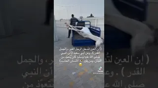 راح ورحل خطر لاحول ولاقوة الا بالله 