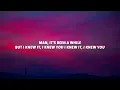 Taylor Swift - I Knew It, I Knew You (Lyrics)