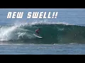 Newport Delivered Surfers Sunrise Chaos on the Beach