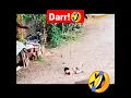 hiduplah engkau denganku hihihi darr! #shorts #viral #foryou #fyp #trend
