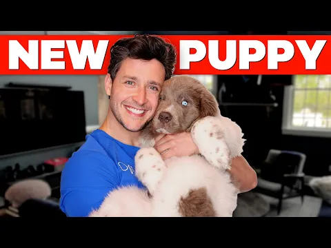 Download MP3 I Got Another Newfie Puppy!