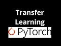 11 Transfer Learning in PyTorch