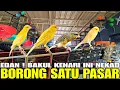 Download Lagu NGUTANG PUN TERJADI ! JIKA GAK TAHAN LIHAT STOK BURUNG KENARI GACOR MEWAH SIAP GANTANG DI KIOS INI