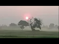 ฟังเพลงก่อนนอนครับ